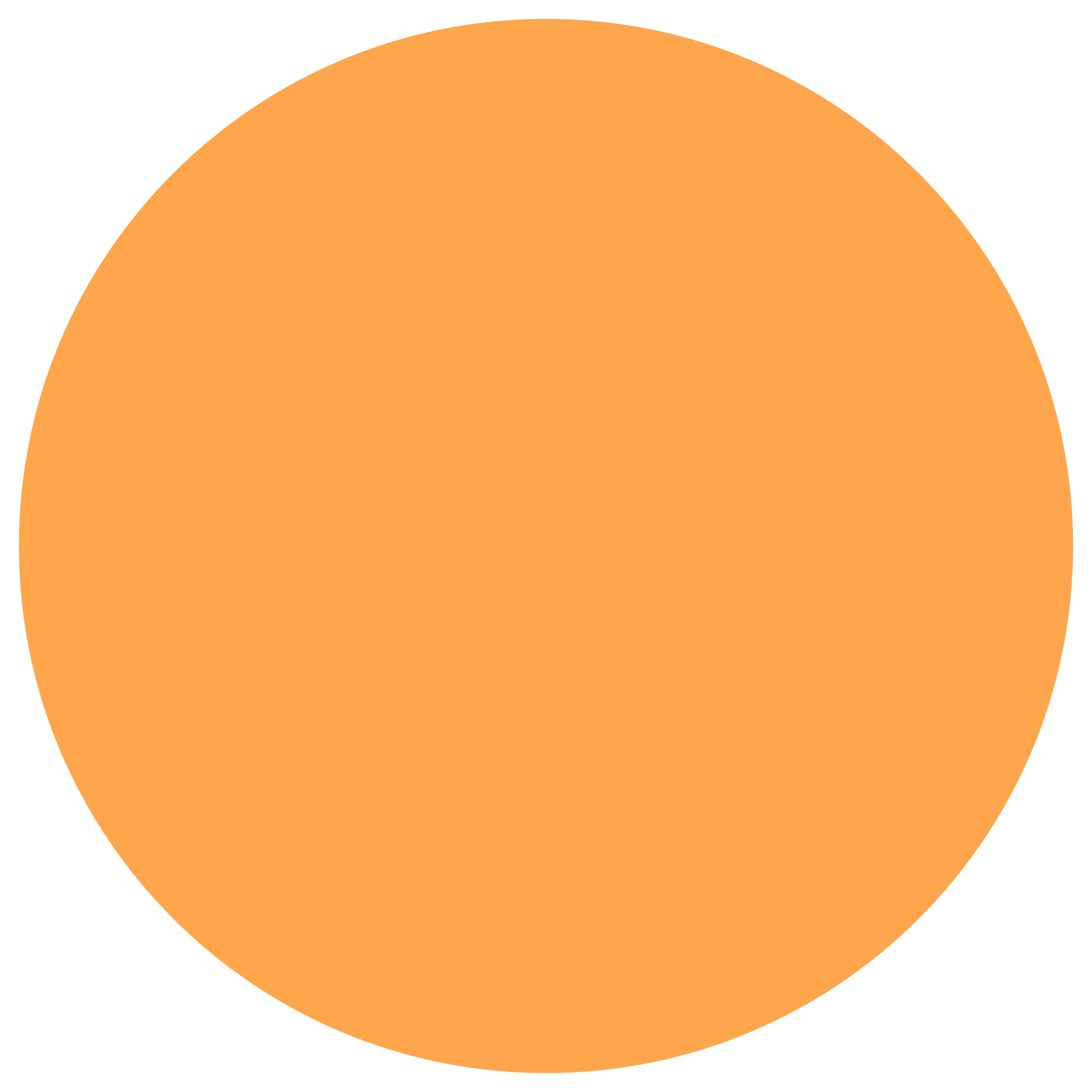 amber circle.png