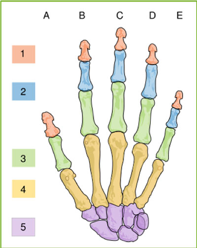 Lesson5_handimage.jpg